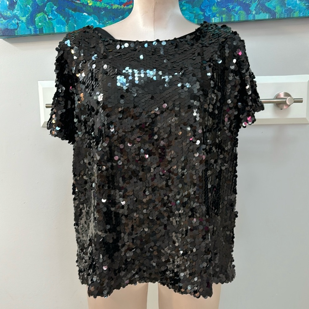 Ann Taylor Sequin Short Sleeve Top